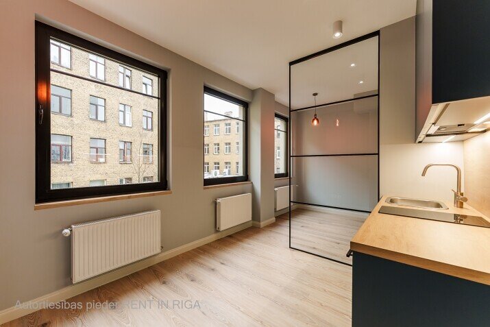 Birznieka Upīša 20a, Centrs