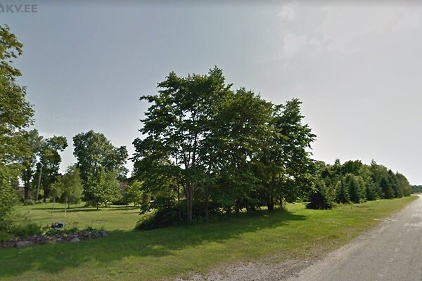 plot for sale, land-profit land - Raudtee tn 6, Tudu, Vinni vald, Lääne-Virumaa