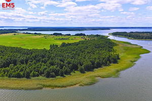 Węgorzewo