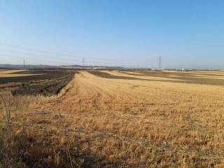 Getafe,  ES