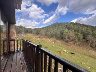 Ripoll,  ES