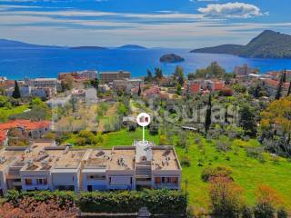 Asini,  GR
