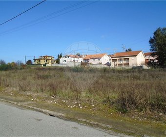 Santa Comba Dão,  PT