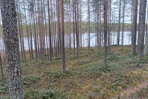 Hossantie, Hossa, Suomussalmi
