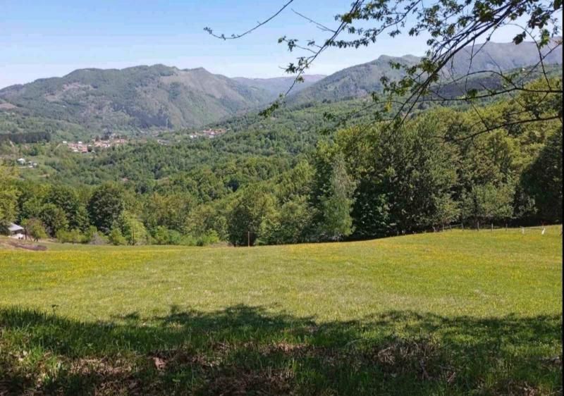 Northern Region, Kolasin