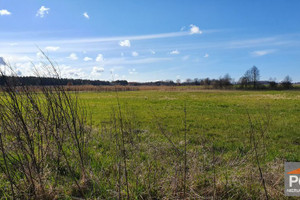 Pobierowo