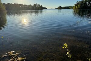 Vesansalontie (Ellunpolku) 549, Vesansalo, Asikkala