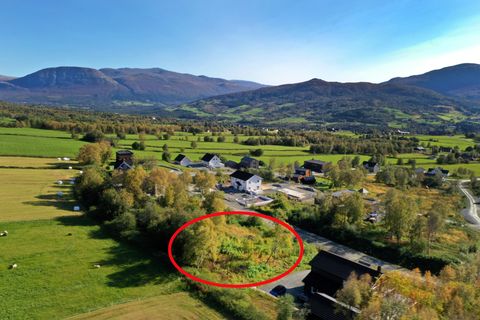 Myrtrøa 78, Oppdal