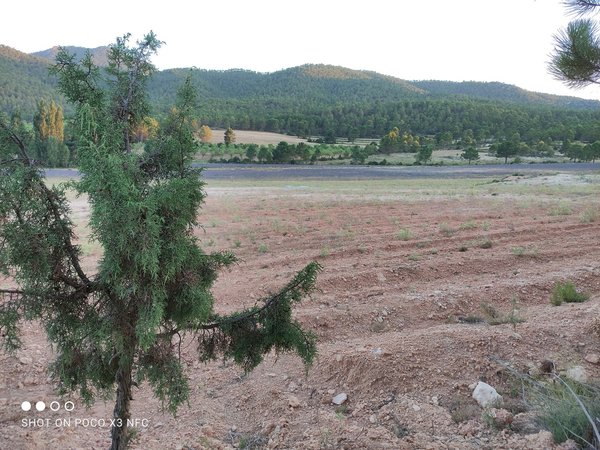 Moratalla,  ES