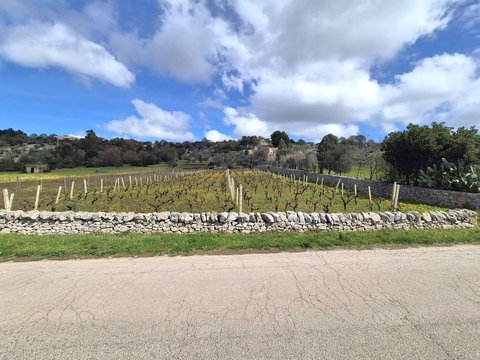 Locorotondo,  IT