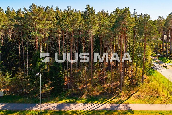 Harjumaa, Viimsi vald, Pringi, Laaneotsa tee 7