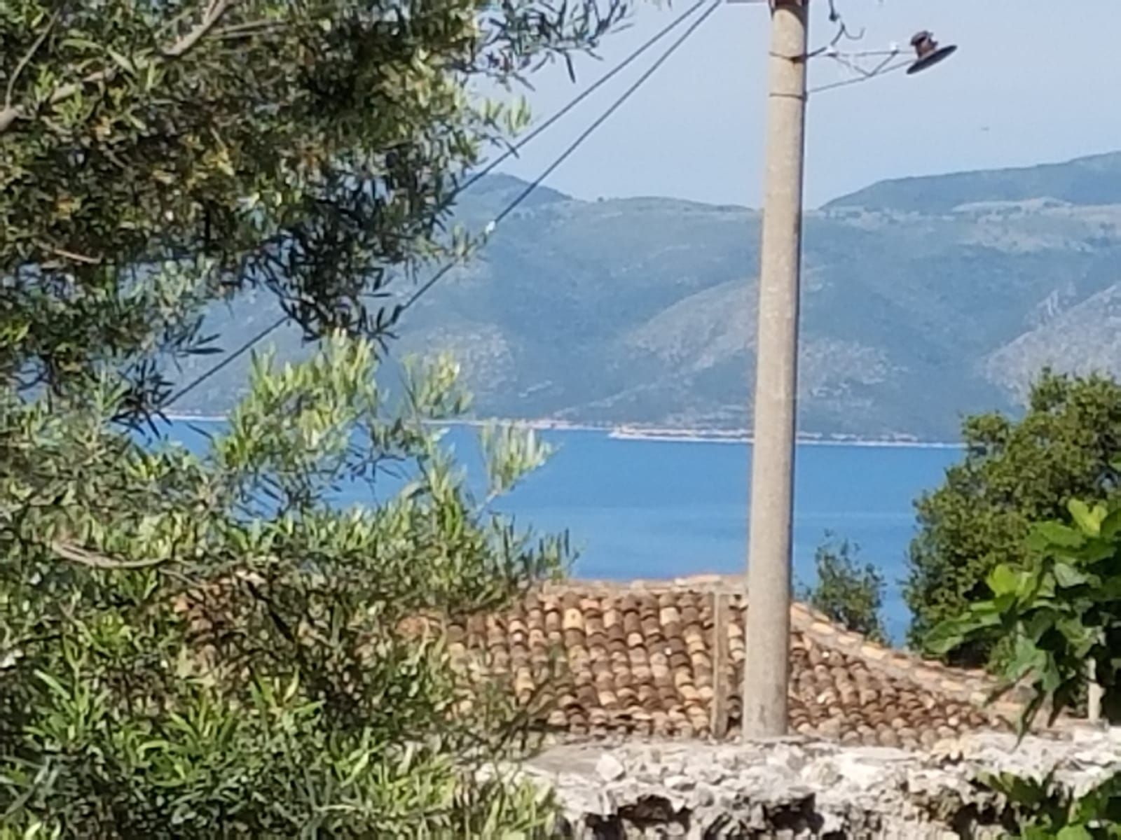 Vlora Perfecture, Radhimë