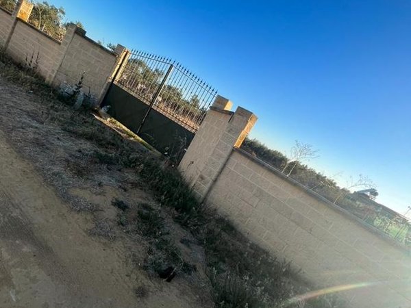 Utrera,  ES