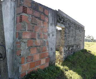Arazede,  PT
