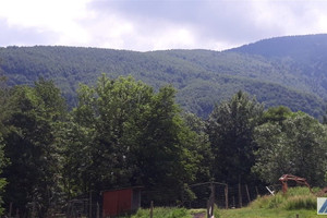 Zawoja