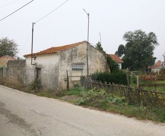Arazede,  PT