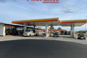 Klimontów