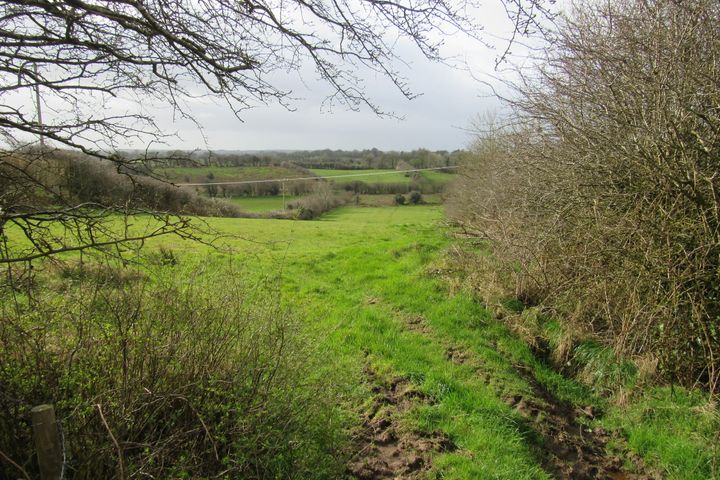 Derrymore, Ballyhaunis, Co. Mayo