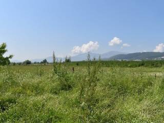Anatoli,  GR