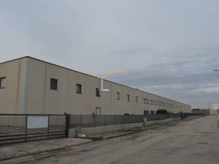 Senigallia,  IT