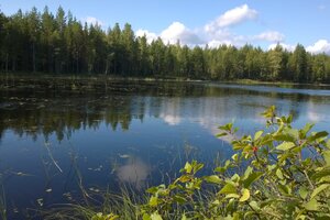Iivantiira, Kortelahti, Juttuantie Kortteli 9, tontti 4, Kuhmo