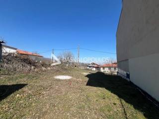 Naousa,  GR