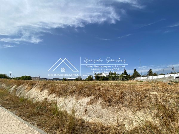 Montilla,  ES