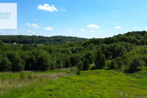 Dębica