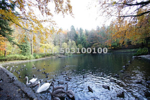 Krynica-Zdrój