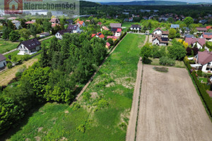 Sidzina