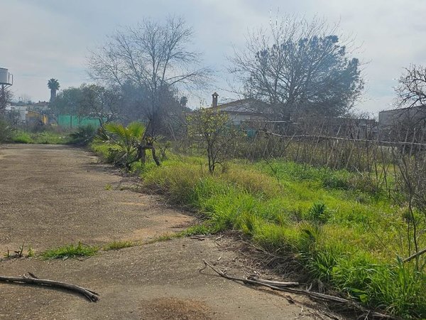 Carmona,  ES