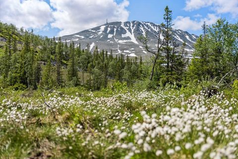 Myrestaulvegen 71, Rjukan