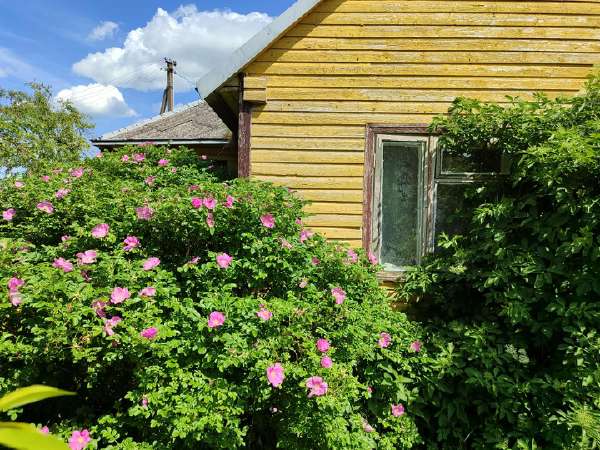 Marijampolė, Naujienos k., Žaltyčio g., prieš 1 val.