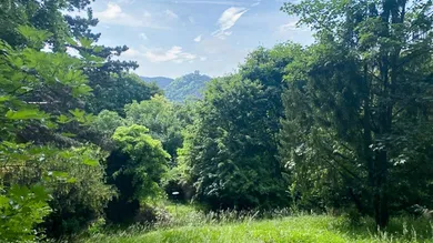 2371 Hinterbrühl