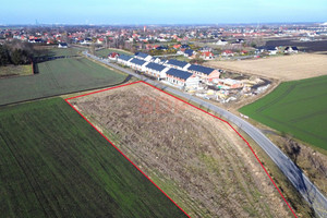 Święta Katarzyna