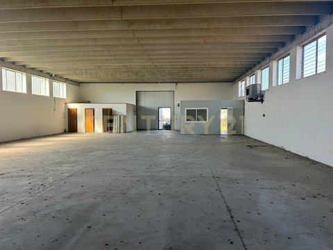 Bovolone,  IT