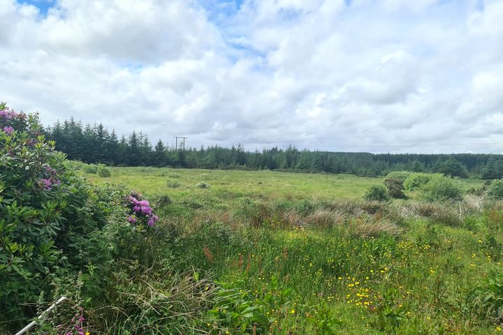 Balleen, Kilmaley, Ennis, Co. Clare