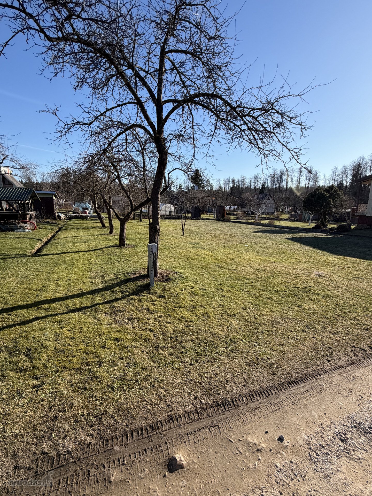 Panevėžio r. sav., Naujikų k. Klevų al.