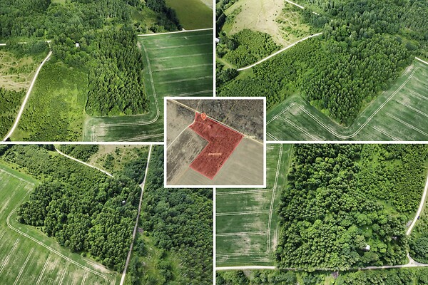 plot for sale, land-profit land - Väike Vahtra, Tõruvere, Peipsiääre vald, Tartumaa