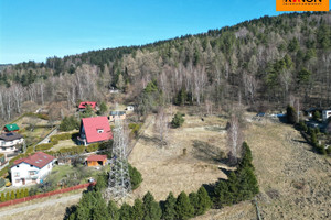 Wilkowice