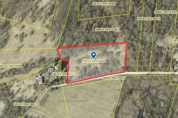 plot for sale, land-profit land - Rootsi tn 25, Kasepää, Peipsiääre vald, Tartumaa