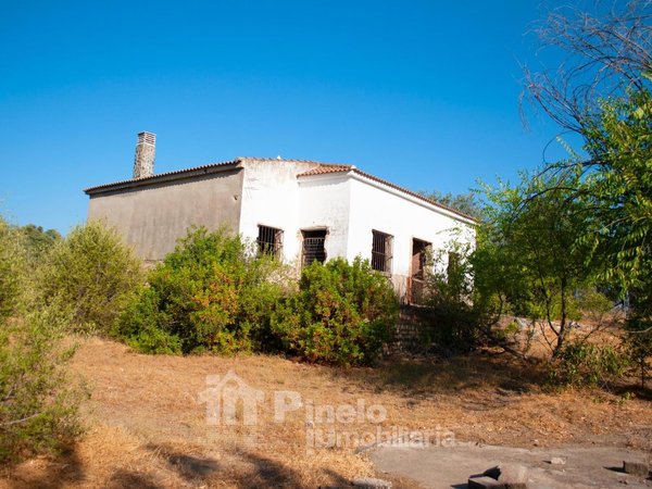 Castilblanco de los Arroyos,  ES