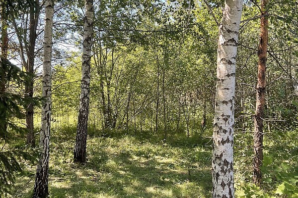 Raplamaa, Märjamaa vald, Märjamaa, Kesa 12