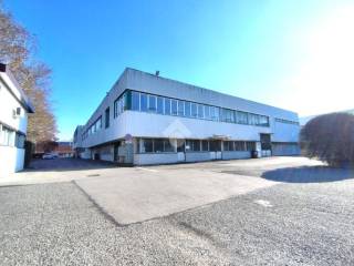 Collegno,  IT