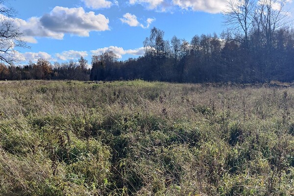 plot for sale, residential land - Võõbu, Paide, Järvamaa