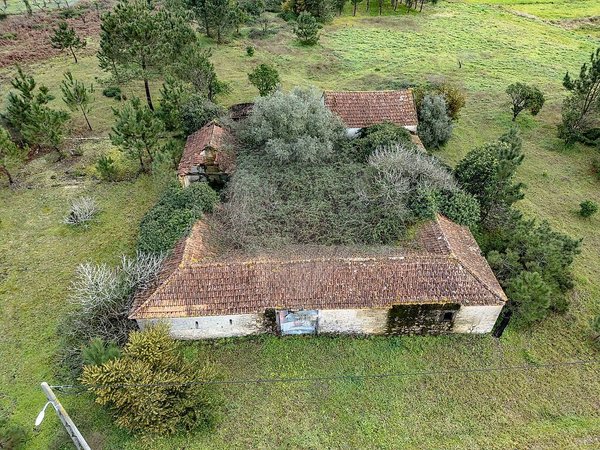 Arazede,  PT