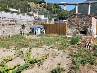 Taggia,  IT