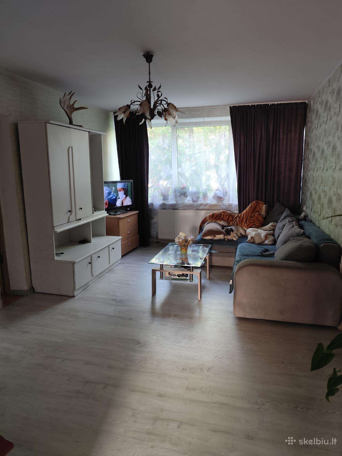 Anykščių r. sav., Ažuožerių k.