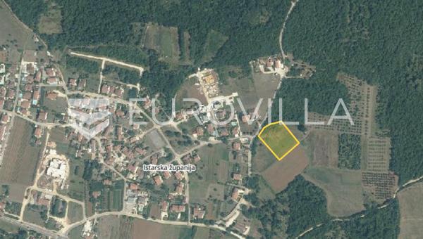 Vrvari
