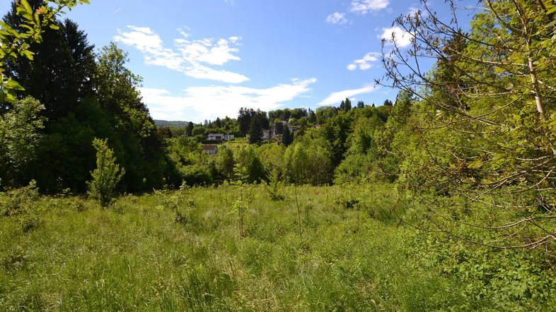 3032 Eichgraben